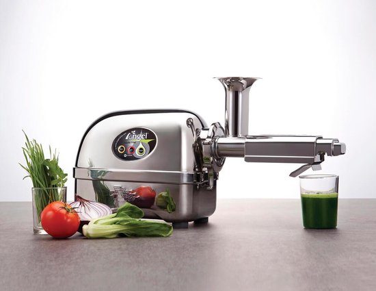 Angel juicer AG-8500 Slowjuicer - Horizontaal - RVS van Angel — afbeelding 5