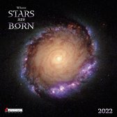 Star is Born 2022