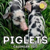 Piglets Calendar 2022
