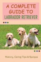 A Complete Guide To Labrador Retriever: History, Caring Tips & Recipes