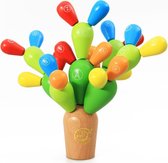 Houten speelgoed veranderende cactus changing cactus