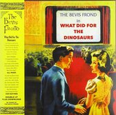 Bevis Frond - What Did For The Dinosaurs (2 LP)