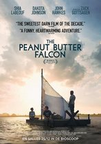 The Peanut Butter Falcon (DVD)