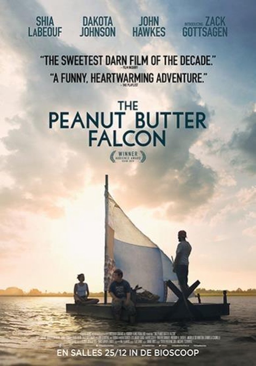 The Peanut Butter Falcon (DVD) - Remain in Light