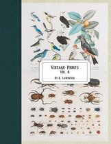 Vintage Prints