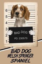 Bad Dog Welsh Springer Spaniel