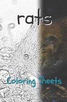 Rat Coloring Sheets