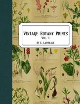 Vintage Botany Prints