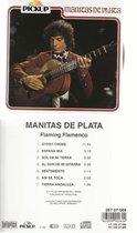 Flaming Flamenco, Vol. 1