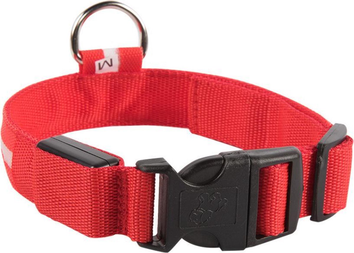 Smartphonica LED lichtband - Lichtgevend - Hondenhalsband - Inclusief Batterijen - Rood - L