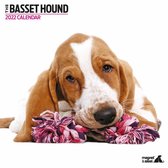 Basset Hound - Kalender 2022