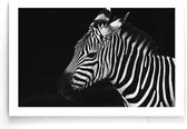 Walljar - Zebra - Dieren poster