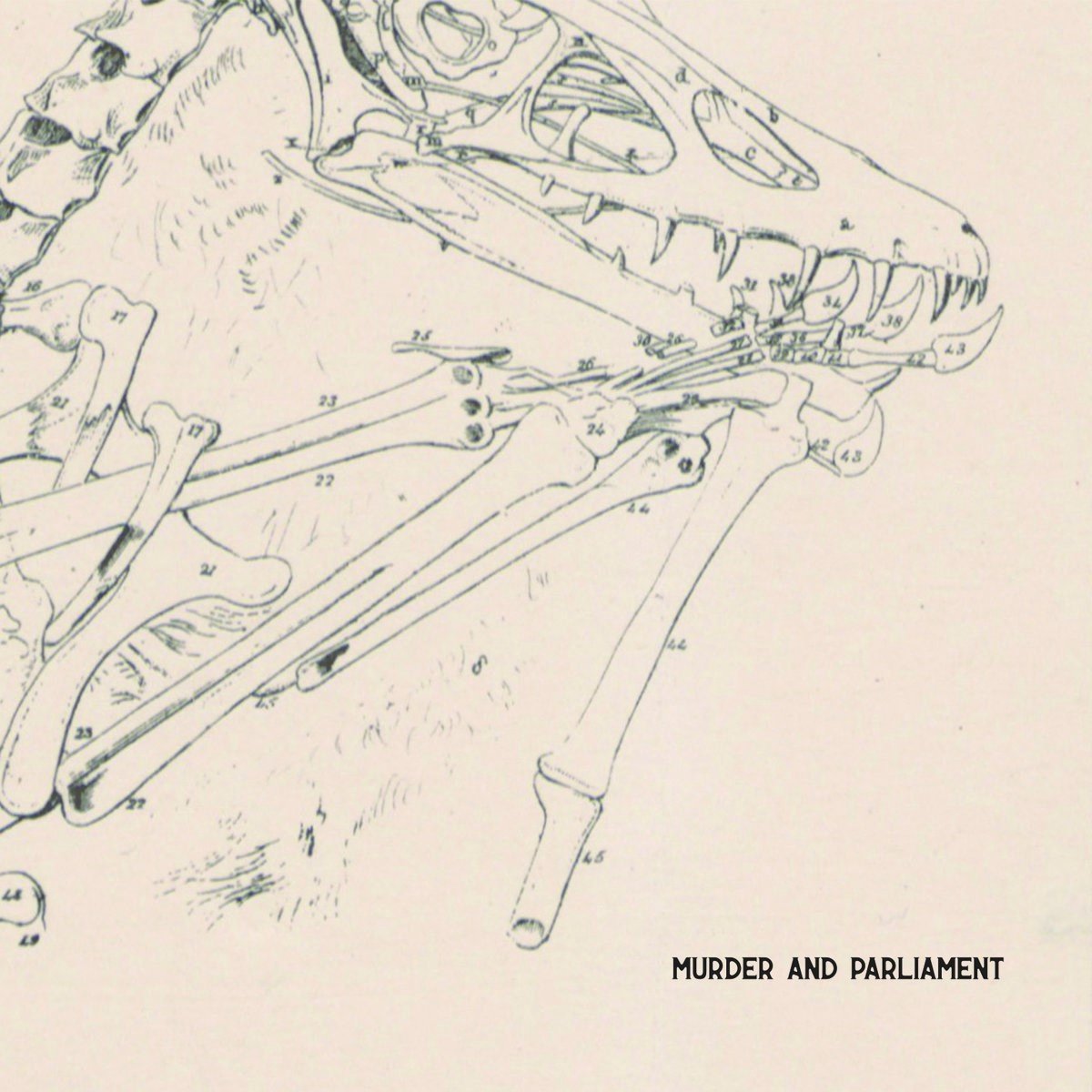 Murder And Parliament - Murder And Parliament (CD)