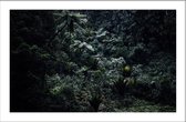 Walljar - Humid Forest - Muurdecoratie - Poster met lijst