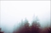 Walljar - Foggy Woods - Muurdecoratie - Plexiglas schilderij