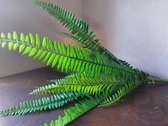 Brynxz - Kunstplant - Varen - Groen - Fijne bladstructuur - 20 bladeren per plant