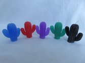 Kaars cactus set van 5, Groen appelgeur, Rood rozengeur, Paars lavendelgeur, Blauw oceaangeur, Zwart zwarte orchidee geur