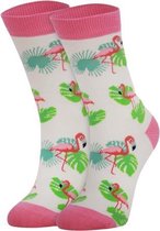 Colorcool Dames Sokken | Flamingo | 36-41