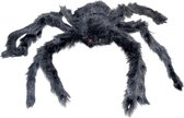 Grote spin 40 cm zwart