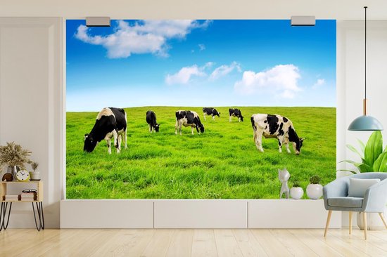 Papier peint - Papier peint photo Vache - Herbe - Ciel - Largeur 390 cm x Hauteur 260 cm