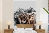 Behang - Fotobehang Schotse Hooglander - Zwart - Dieren - Breedte 180 cm x hoogte 280 cm