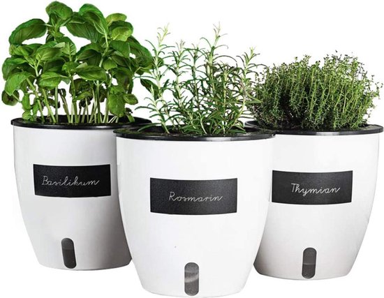 En bois Indoor Plant Pots Fleur Boîte/Cuisine Herb rebord de fenêtre/Planters par 