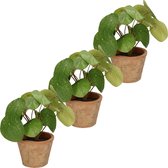 3x stuks Kunstplanten pannekoekplant  groen in pot 25 cm - Kamerplanten groen pilea