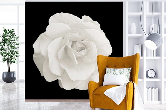 Papier peint - Papier peint photo peint Rose - Zwart - Wit - Largeur 280 cm x hauteur 280 cm