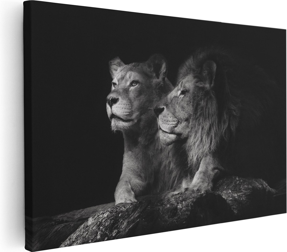 Artaza Canvas Schilderij Leeuw En Leeuwin - Zwart Wit - 30x20 - Klein - Foto Op Canvas - Canvas Print