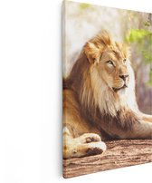 Artaza Canvas Schilderij Leeuw - 40x60 - Poster Foto op Canvas - Canvas Print