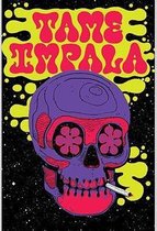 Psychedelic Tame Impala Print Poster Wall Art Kunst Canvas Printing Op Papier Living Decoratie  C4052-23