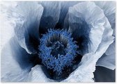 Nordic Blauw Stijl Print Poster Wall Art Kunst Canvas Printing Op Papier Living Decoratie 60X80cm Multi-color