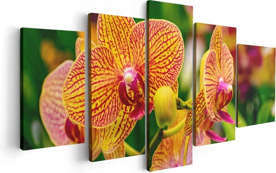 Artaza Canvas Schilderij Vijfluik Geel Rode Orchidee Bloemen - 100x50 - Foto Op Canvas - Canvas Print