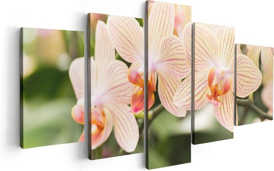 Artaza Canvas Schilderij Vijfluik Gestreepte Witte Orchidee Bloemen - 100x50 - Foto Op Canvas - Canvas Print