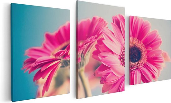 Artaza - Toile Peinture Triptyque - Deux Oeillets Roses - Fleurs - 120x60 - Photo Sur Toile - Impression Sur Toile