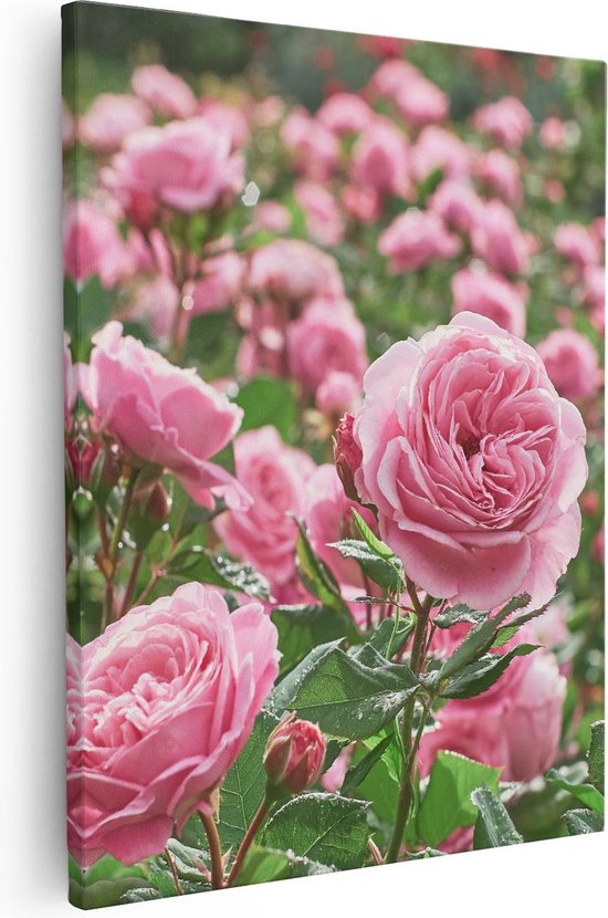 Artaza Canvas Schilderij Roze Rozen Bloemenveld - 80x100 - Groot - Foto Op Canvas - Canvas Print