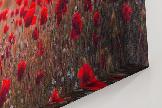 Artaza - Peinture sur toile - Champ de fleurs de coquelicots rouges Coucher de soleil - 80x40 - Photo sur toile - Impression sur toile