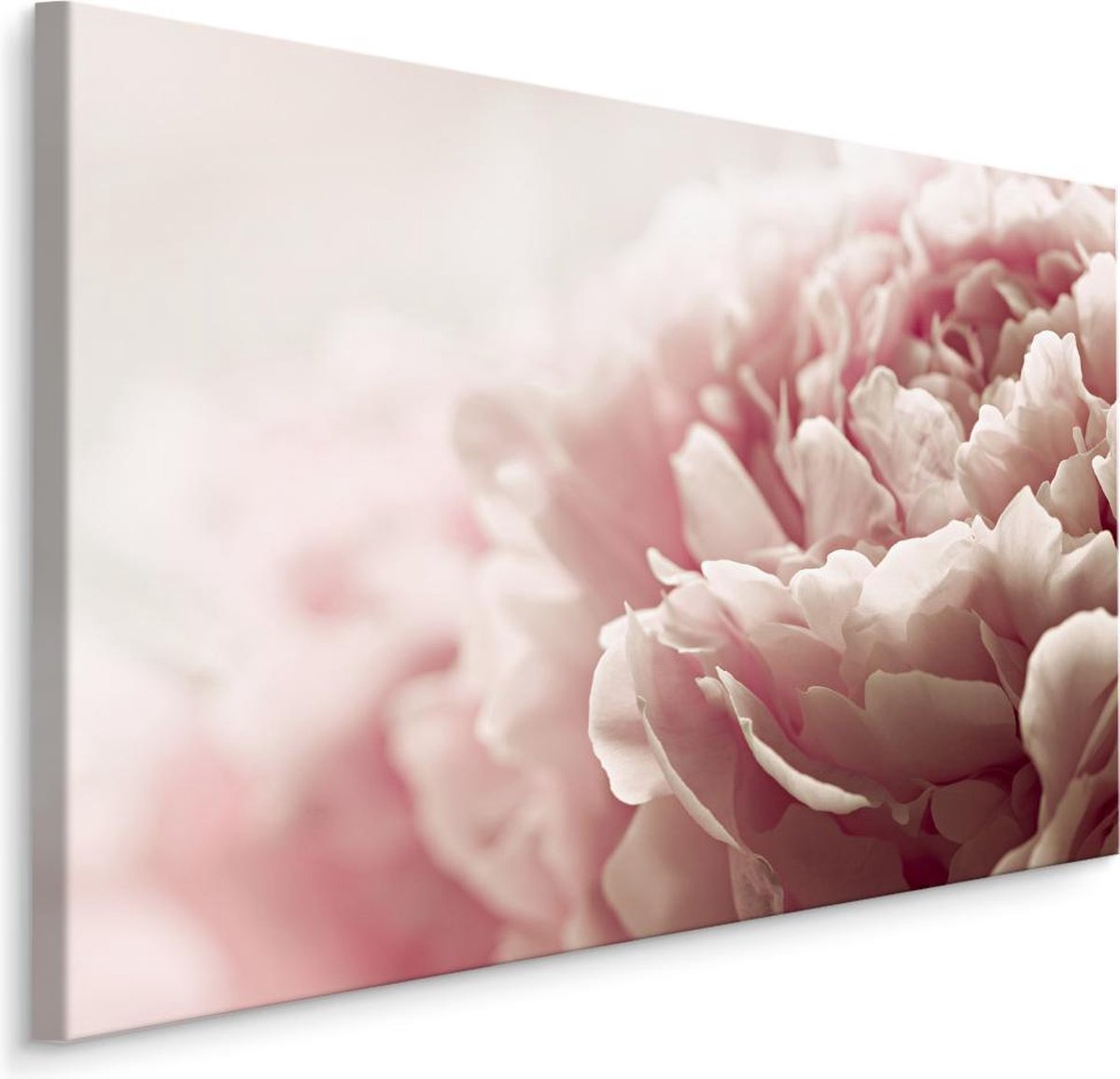 karo-art Schilderij - Pastelkleurige Pioenrozen , print op canvas, premium print , Wanddecoratie Multikleur