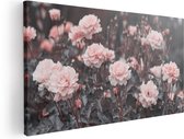 Artaza Canvas Schilderij Roze Rozen Bloemen  - 40x20 - Klein - Foto Op Canvas - Canvas Print