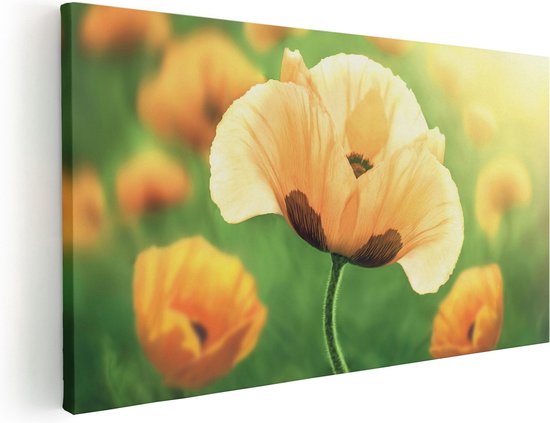 Artaza Canvas Schilderij Oranje Klaproos Bloemen  - 40x20 - Klein - Foto Op Canvas - Canvas Print