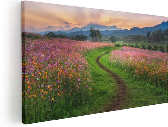 Artaza Canvas Schilderij Kosmos Bloemenveld Met Een Pad - Bloemen - 40x20 - Klein - Foto Op Canvas - Canvas Print