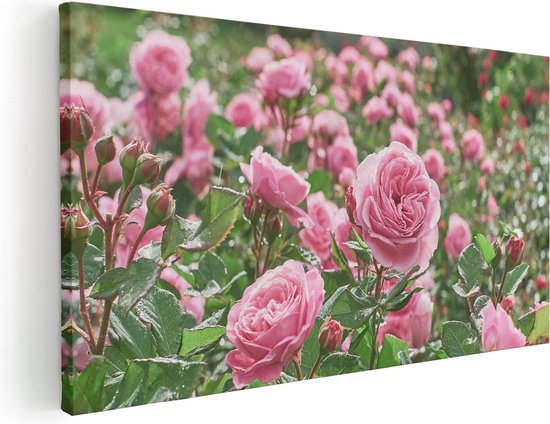 Artaza Canvas Schilderij Roze Rozen Bloemenveld - 40x20 - Klein - Foto Op Canvas - Canvas Print