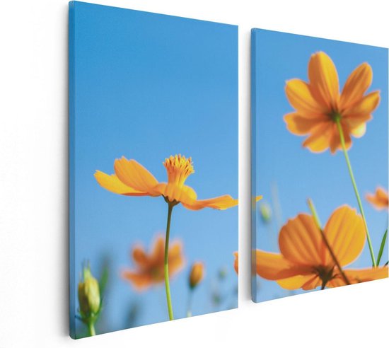 Artaza - Canvas Schilderij - Oranje Cosmea Bloemen - Foto Op Canvas - Canvas Print