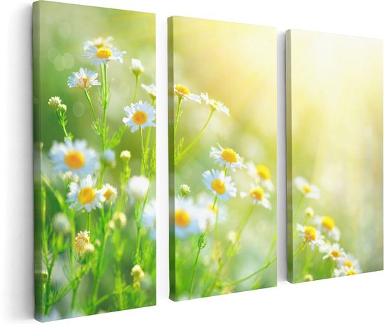 Artaza - Canvas Schilderij - Witte Kamille Bloemen Met Zonneschijn - Foto Op Canvas - Canvas Print