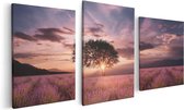 Artaza Canvas Schilderij Drieluik Bloemenveld Met Lavendel Bij Zonsondergang - 120x60 - Foto Op Canvas - Canvas Print