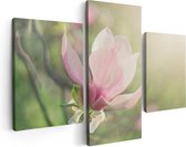 Artaza Canvas Schilderij Drieluik Roze Magnolia Bloem  - 90x60 - Foto Op Canvas - Canvas Print