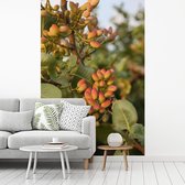 Image du produit Chez 3 partenaires