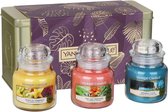 Yankee Candle The Last Paradise - 3 Small Jar Giftset