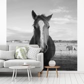 Behang - Fotobehang Paard achter een prikkeldraad - Breedte 260 cm x hoogte 260 cm