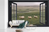 Behang - Fotobehang Doorkijk - Gras - Schaap - Breedte 420 cm x hoogte 280 cm
